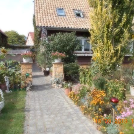 Vermiete Sehr Schoenes Apartment In Dankerode Im Harz Eksteriør billede