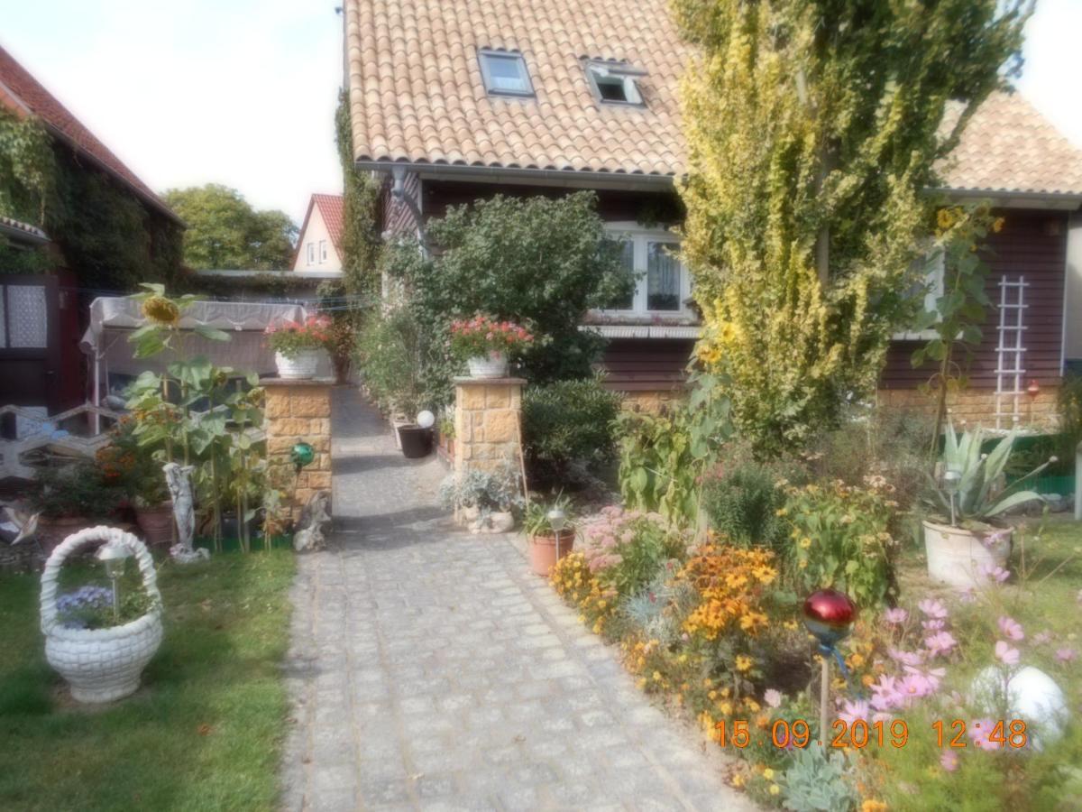 Vermiete Sehr Schoenes Apartment In Dankerode Im Harz Eksteriør billede