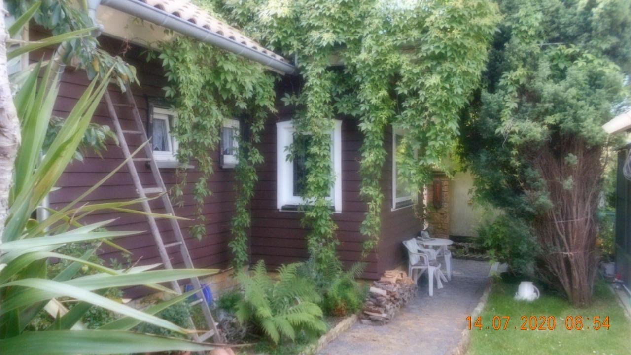 Vermiete Sehr Schoenes Apartment In Dankerode Im Harz Eksteriør billede