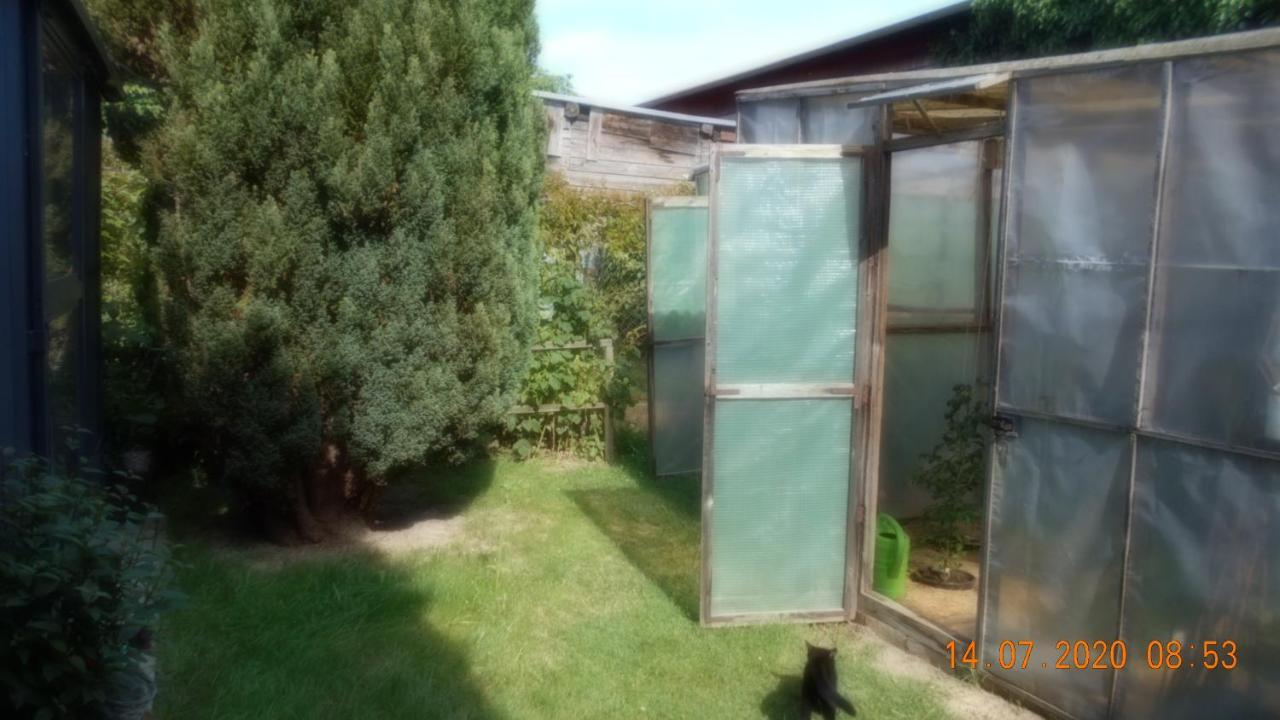 Vermiete Sehr Schoenes Apartment In Dankerode Im Harz Eksteriør billede