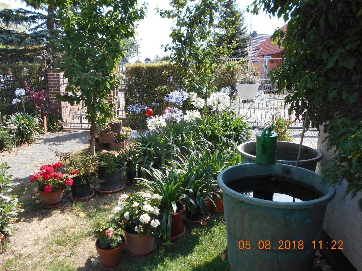 Vermiete Sehr Schoenes Apartment In Dankerode Im Harz Eksteriør billede